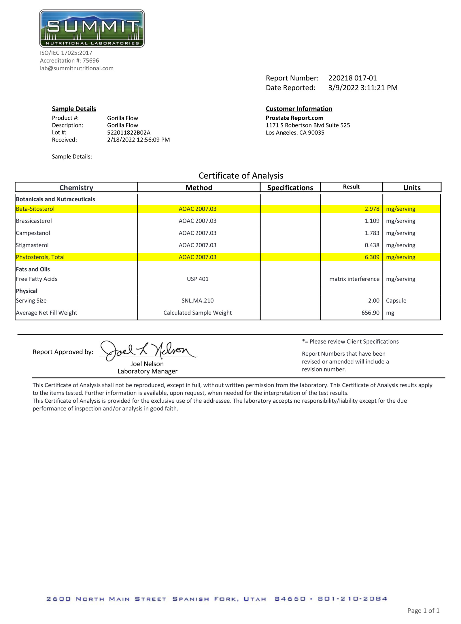 Gorilla Flow lab report 