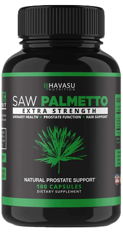 Havasu Saw Palmetto